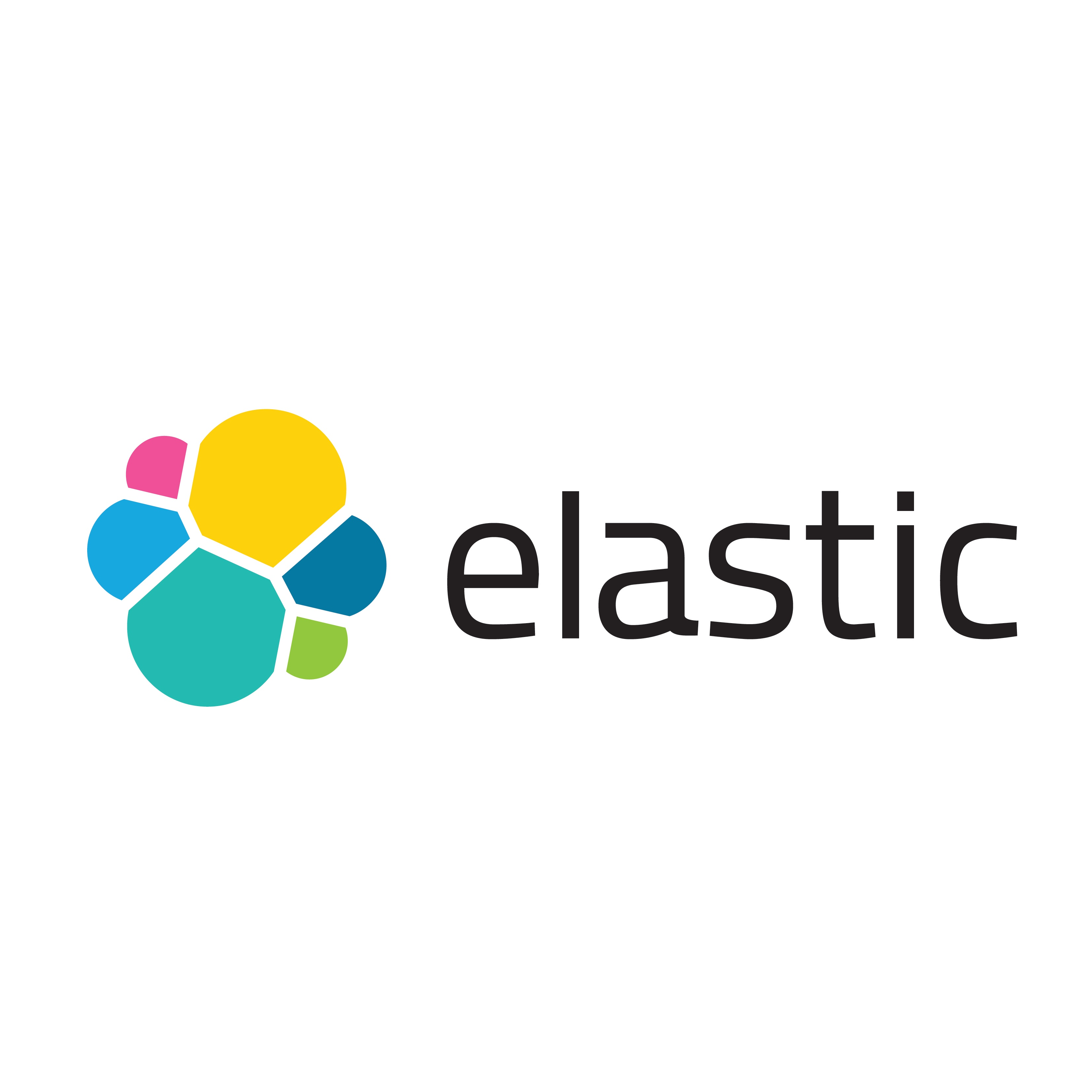 Security and Policing 2024 - Elasticsearch Ltd - Security and